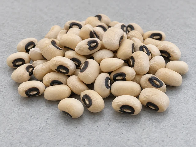 眉豆辨認示意：橢圓略腎形豆粒；乳白底色；種臍周圍有黑色眼圈。