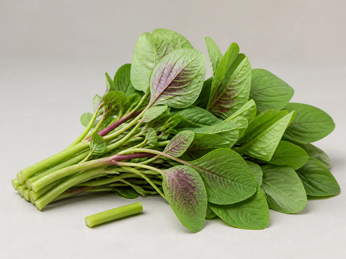 Fresh Chinese amaranth showing soft oval green leaves, clear veins and tender solid stems