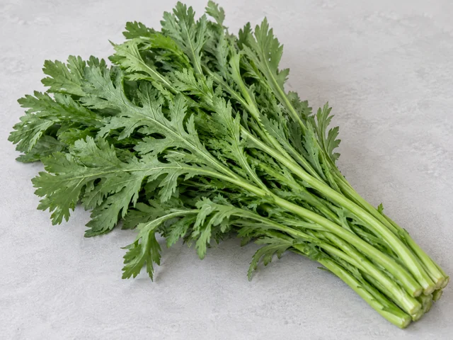 茼蒿辨認示意：細長莖配深裂葉片；綠色葉與嫩莖；葉邊多齒而有明顯裂片。