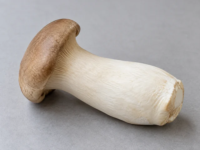 杏鮑菇辨認示意：粗厚棒狀菌柄；乳白柄與小啡色菌蓋；柄部結實肉厚。