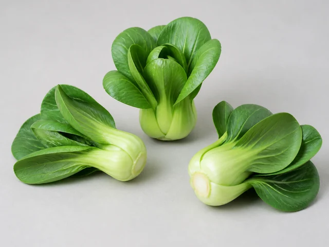 一束新鮮小棠菜，短厚淡綠葉柄、匙形綠葉和緊密菜棵清楚可見