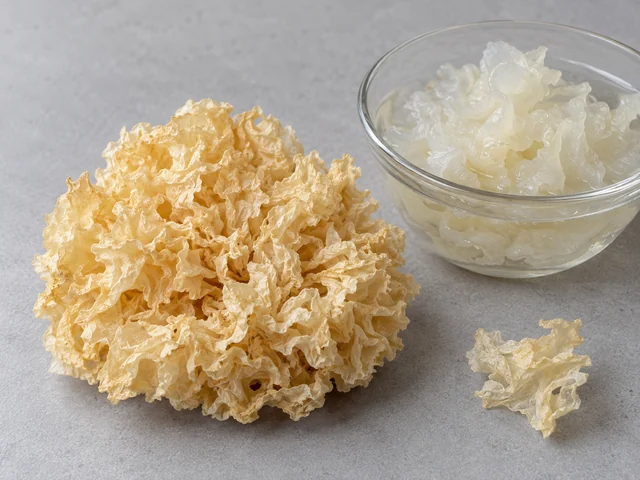 雪耳辨認示意：珊瑚狀多層皺摺乾菌；米白至淡黃色；乾時脆而浸發後半透明柔韌。