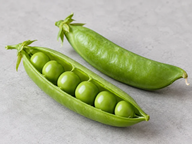 蜜糖豆辨認示意：短而圓脹的豆莢；鮮綠色外皮；厚脆莢壁及圓豆輪廓。