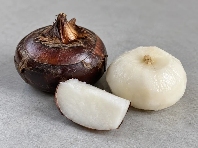 馬蹄辨認示意：細小扁圓球莖；深啡至黑啡皮及白肉；削皮後爽脆多汁。