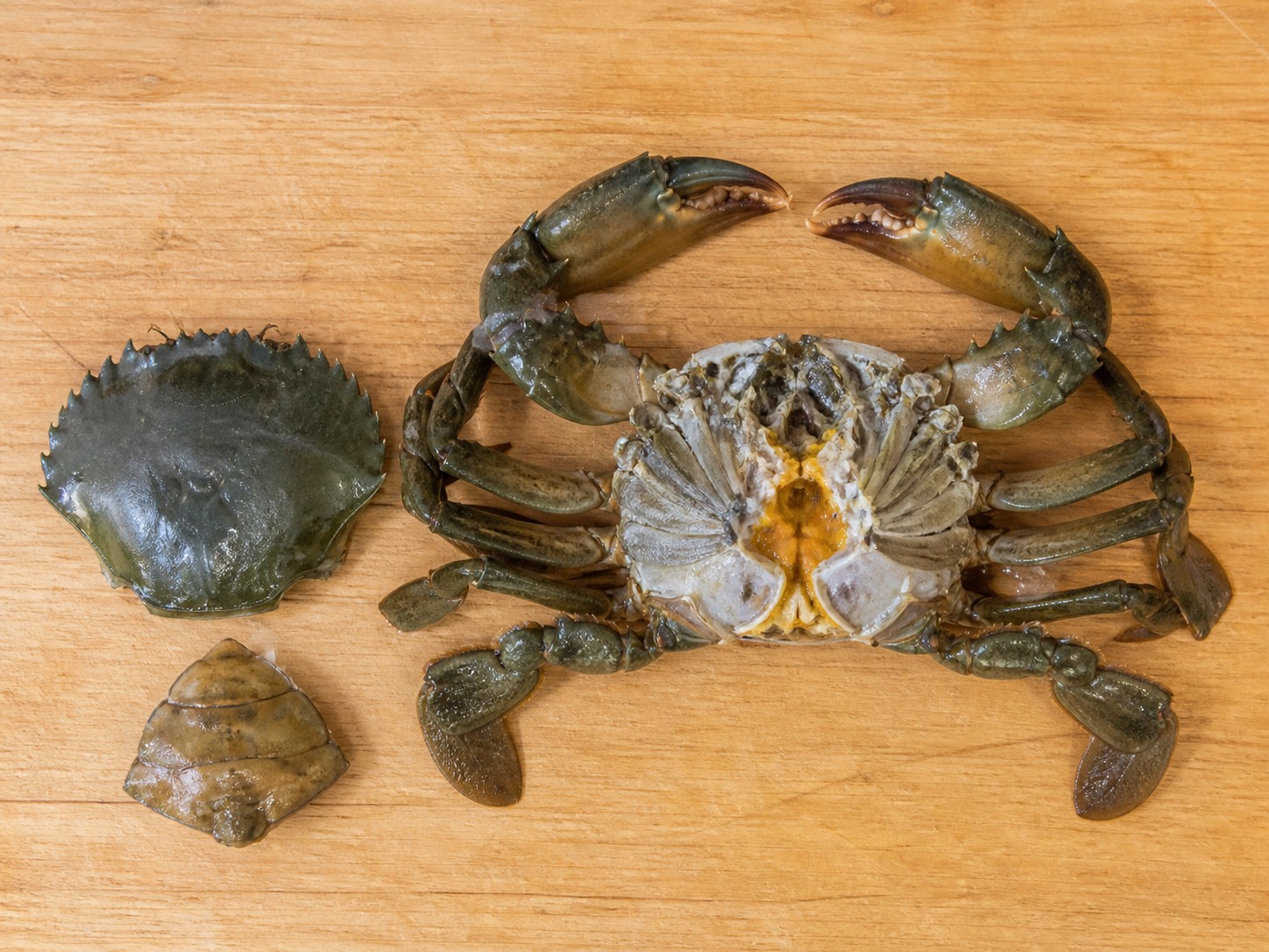 Kepiting Tumis Jahe dan Daun Bawang — Lepas tutup kepiting