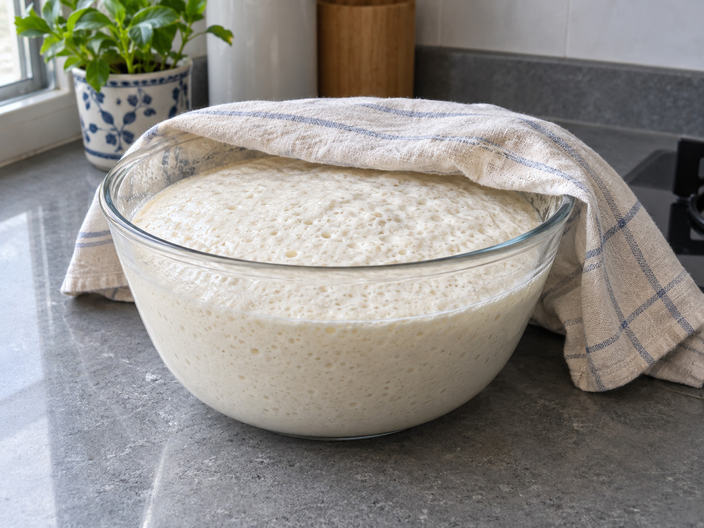 Indian Idli na Pinasingawang Bigas at Daal — Paalsahin sa mainit na lugar nang walong oras