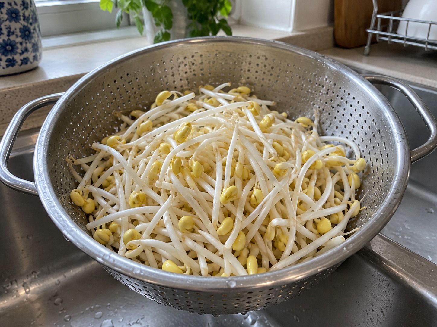 韓式麻油拌大豆芽 — 瀝生豆芽